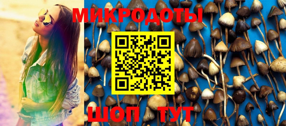 Псилоцибиновые грибы Cubensis  Вход с VPN  Псилоцибиновые грибы мухоморы  Боровичи 